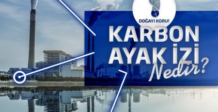 KARBON AYAK İZİ